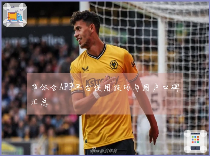华体会APP平台使用技巧与用户口碑汇总