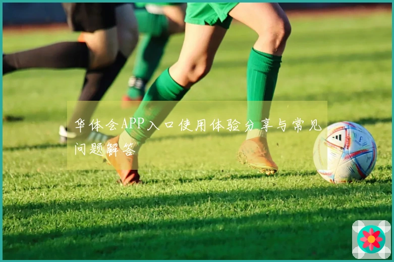 华体会APP入口使用体验分享与常见问题解答