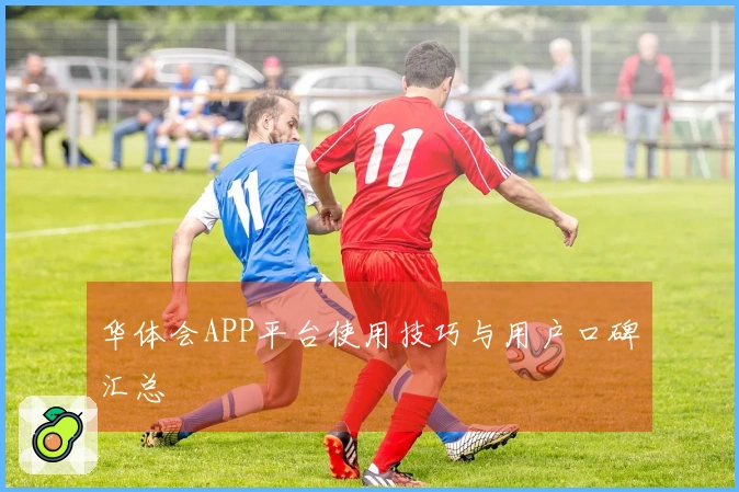 华体会APP平台使用技巧与用户口碑汇总