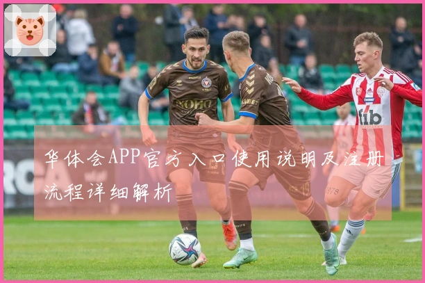 华体会APP官方入口使用说明及注册流程详细解析